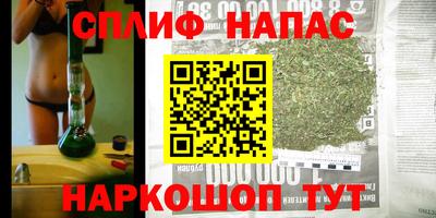 амф Шебекино