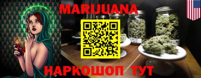 стафф Шелехов