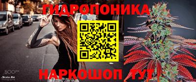 стафф Шелехов