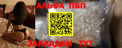 стафф Шелехов