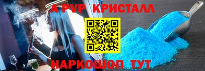 стафф Шелехов