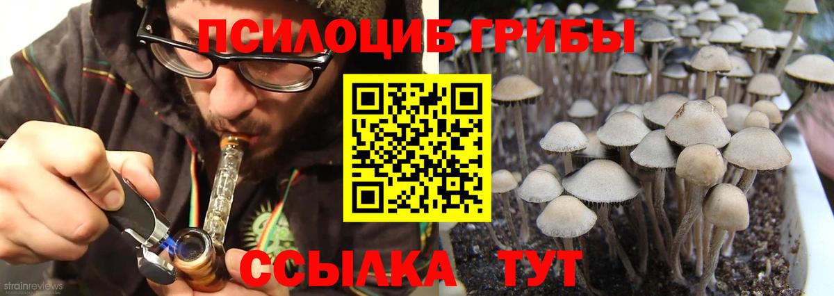 Галлюциногенные грибы MAGIC MUSHROOMS Медногорск