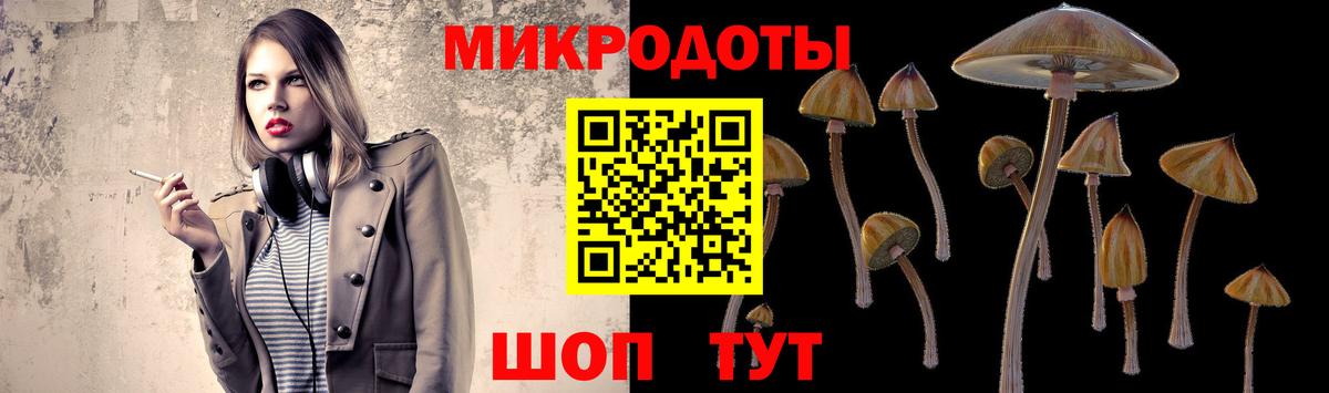 Медногорск  Галлюциногенные грибы Cubensis  где купить наркотик  Вход с VPN  Псилоцибиновые грибы Psilocybine cubensis 