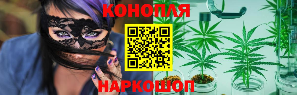 Канабис SATIVA & INDICA Медногорск
